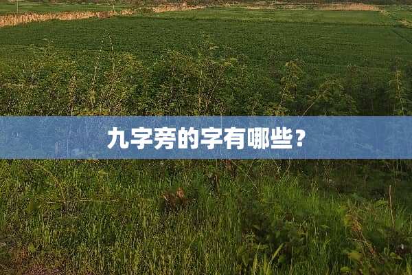 九字旁的字有哪些？