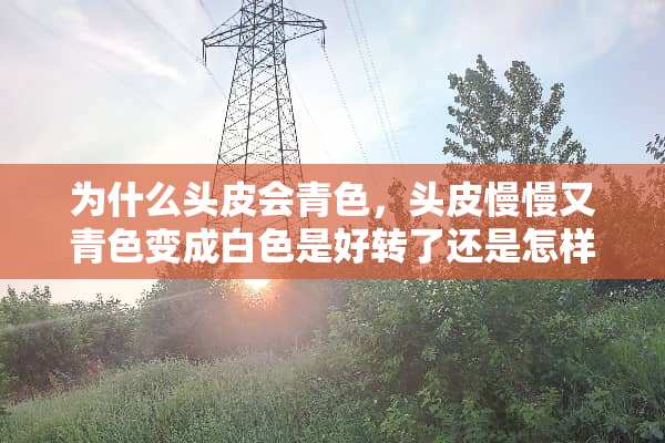 为什么头皮会青色，头皮慢慢又青色变成白色是好转了还是怎样了？