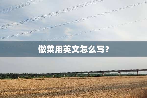 做菜用英文怎么写？