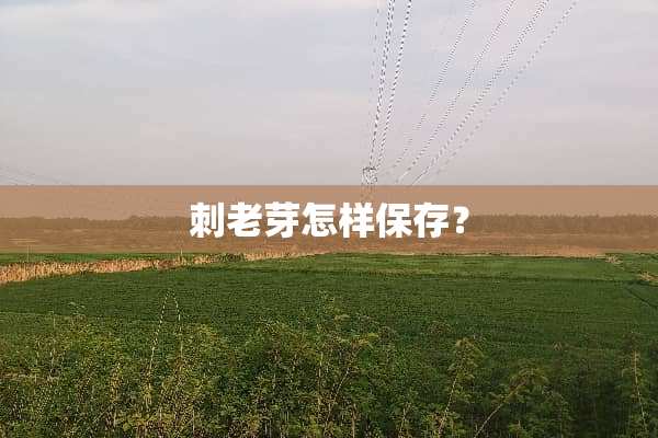 刺老芽怎样保存？