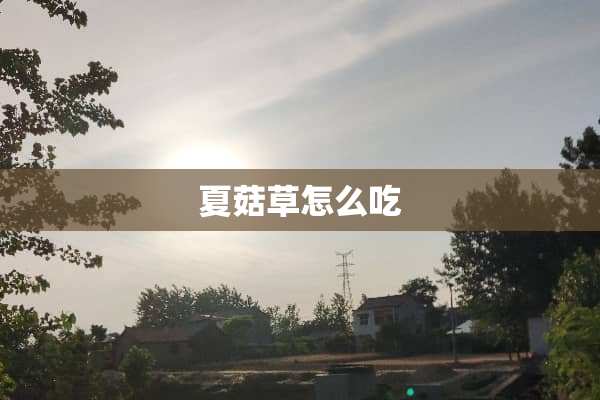 夏菇草怎么吃