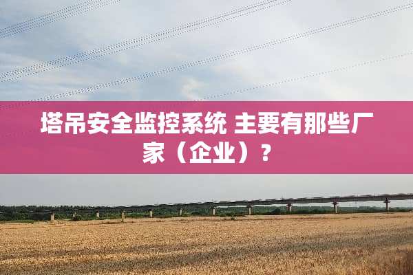 塔吊安全监控系统 主要有那些厂家（企业）？