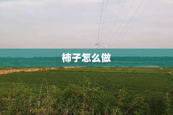 柿子怎么做