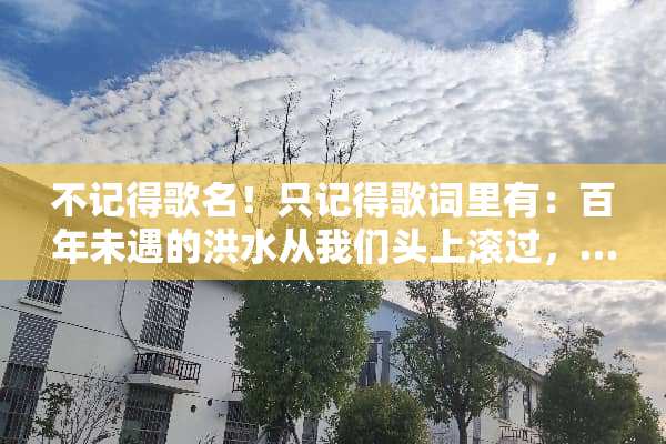 不记得歌名！只记得歌词里有：百年未遇的洪水从我们头上滚过，……