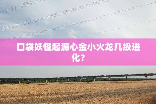 口袋妖怪起源心金小火龙几级进化？