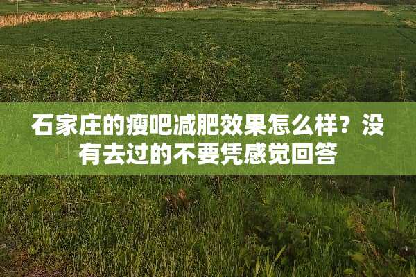 石家庄的瘦吧减肥效果怎么样？没有去过的不要凭感觉回答