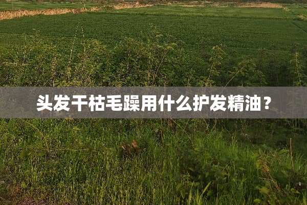 头发干枯毛躁用什么护发精油？