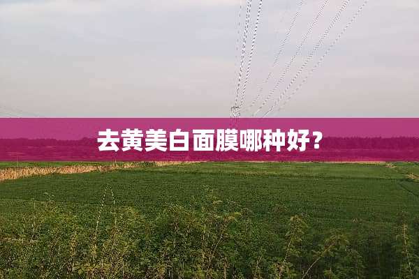 去黄美白面膜哪种好？