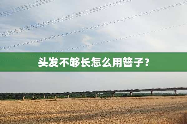 头发不够长怎么用簪子？