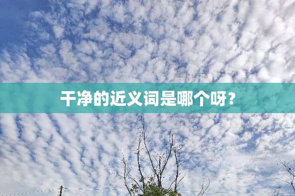 干净的近义词是哪个呀？