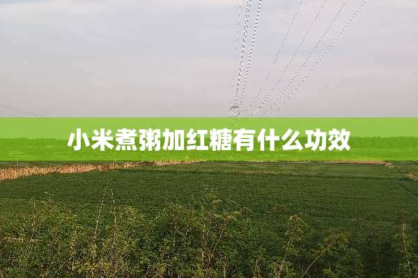 小米煮粥加红糖有什么功效