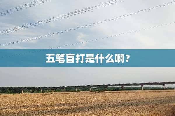 五笔盲打是什么啊？