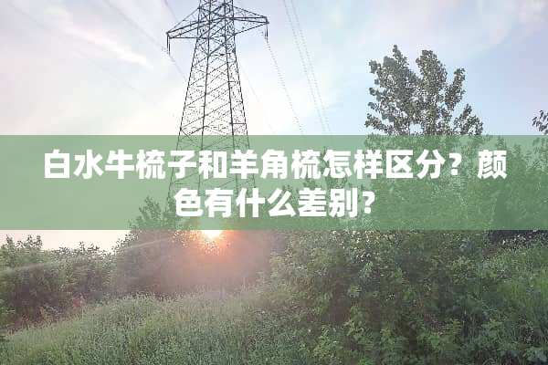 白水牛梳子和羊角梳怎样区分？颜色有什么差别？