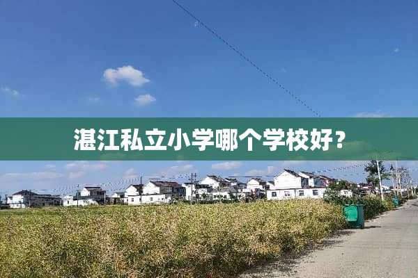 湛江私立小学哪个学校好？