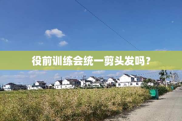 役前训练会统一剪头发吗？