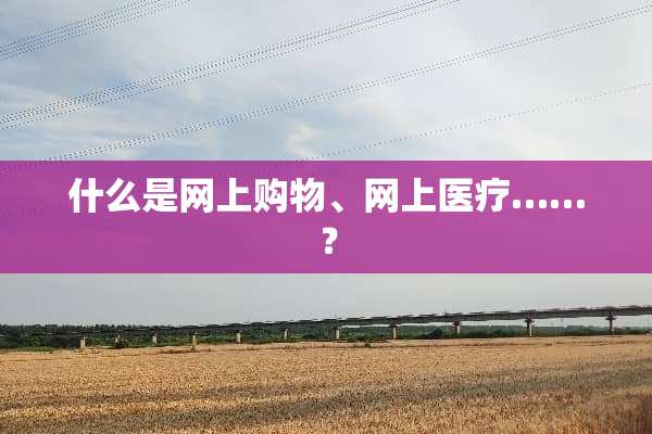 什么是网上购物、网上医疗……？