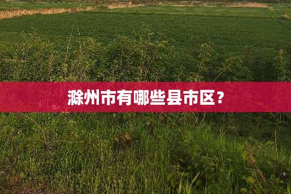 滁州市有哪些县市区？