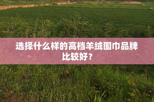 选择什么样的高档羊绒围巾品牌比较好？