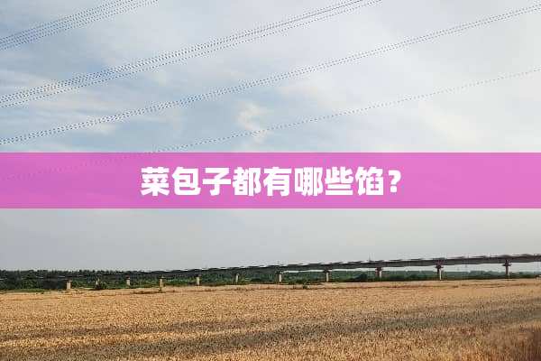 菜包子都有哪些馅？