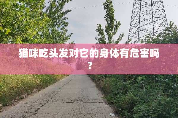 猫咪吃头发对它的身体有危害吗？