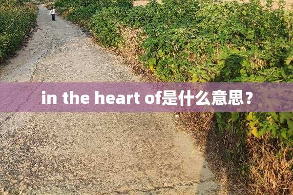 in the heart of是什么意思？