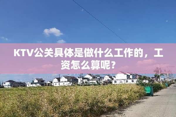 KTV公关具体是做什么工作的，工资怎么算呢？