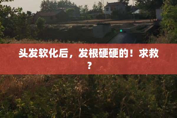 头发软化后，发根硬硬的！求救？