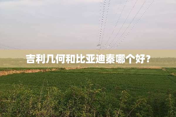 吉利几何和比亚迪秦哪个好？