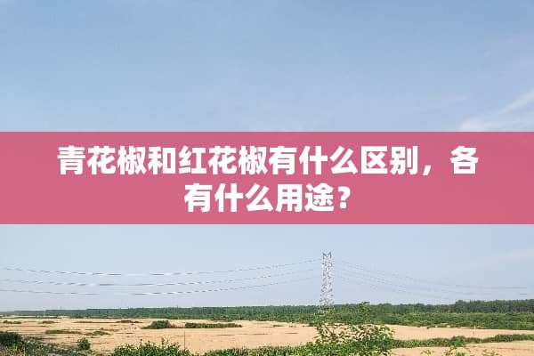 青花椒和红花椒有什么区别，各有什么用途？