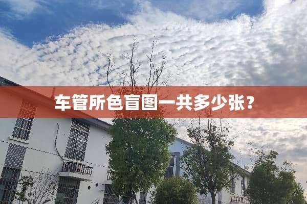 车管所色盲图一共多少张？