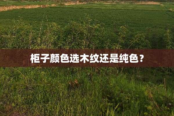 柜子颜色选木纹还是纯色？