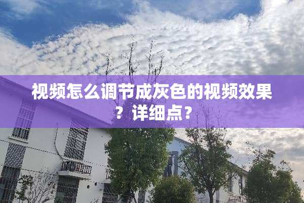 视频怎么调节成灰色的视频效果？详细点？