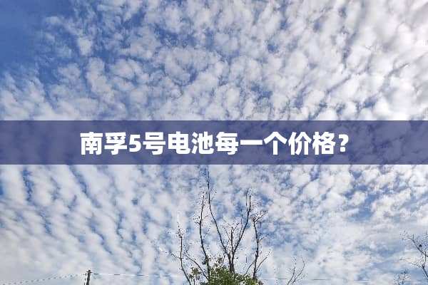 南孚5号电池每一个价格？