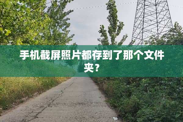 手机截屏照片都存到了那个文件夹？