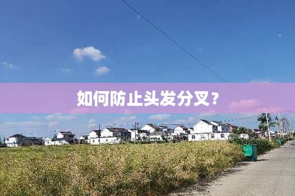 如何防止头发分叉？