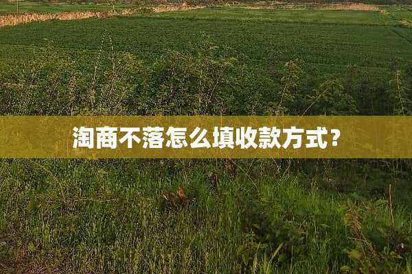 淘商不落怎么填收款方式？