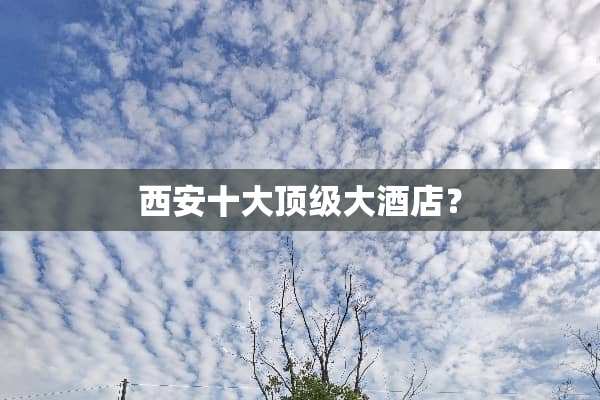 西安十大**大酒店？
