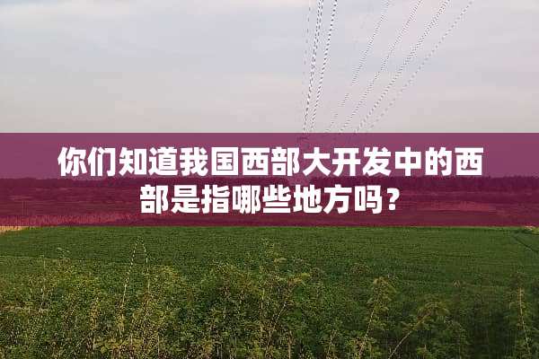 你们知道我国西部大开发中的西部是指哪些地方吗？