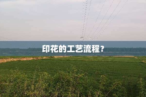 印花的工艺流程？