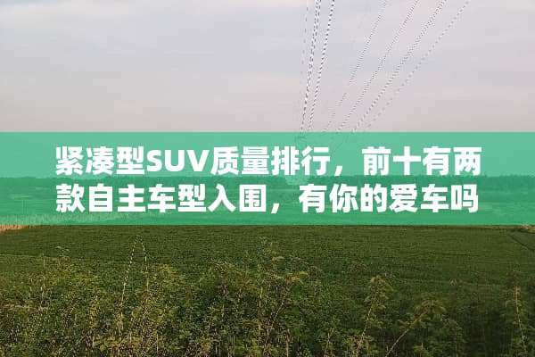 紧凑型SUV质量排行，前十有两款自主车型入围，有你的爱车吗？
