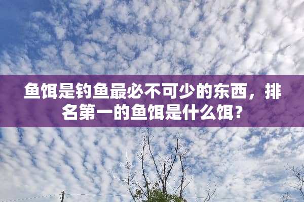 鱼饵是钓鱼最必不可少的东西，排名第一的鱼饵是什么饵？