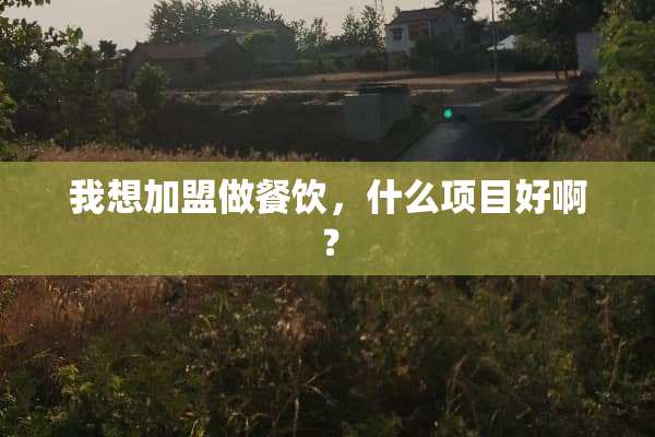 我想加盟做餐饮，什么项目好啊？