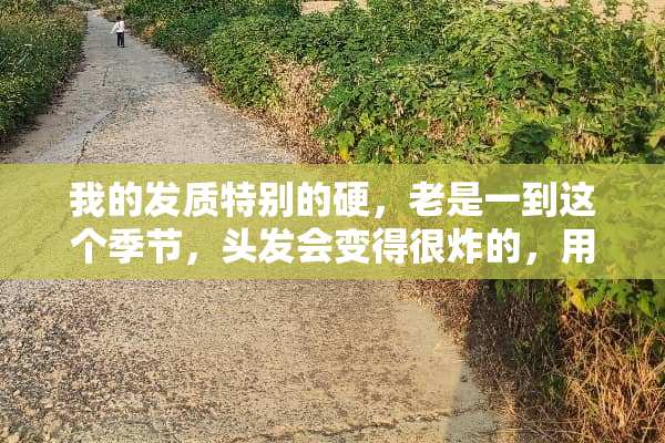我的发质特别的硬，老是一到这个季节，头发会变得很炸的，用什么护理才能把它变软呢？