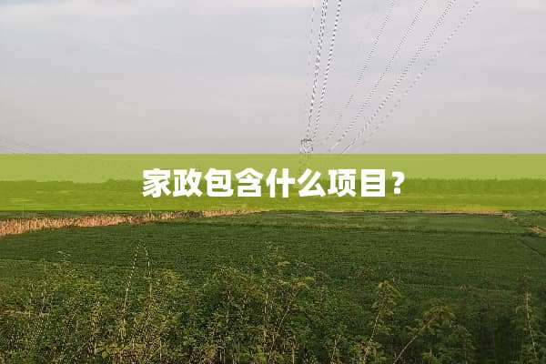 家政包含什么项目？