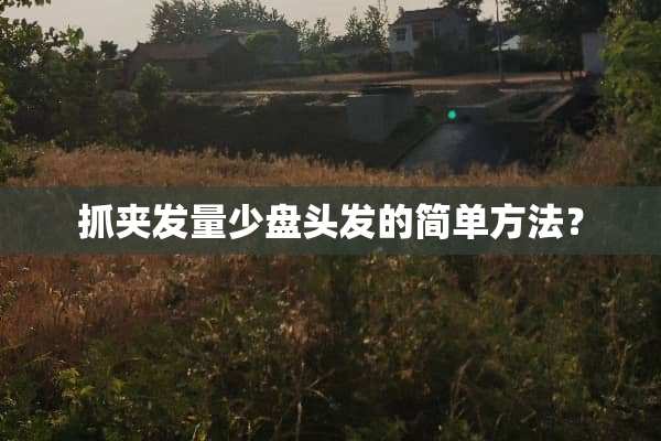 抓夹发量少盘头发的简单方法？