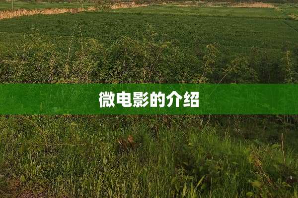 微电影的介绍