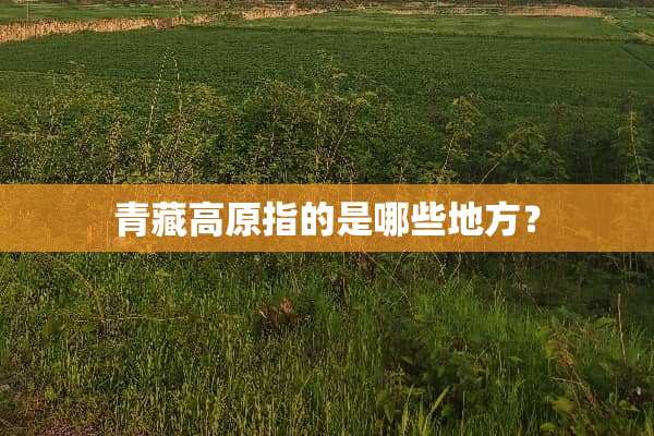 青藏高原指的是哪些地方？