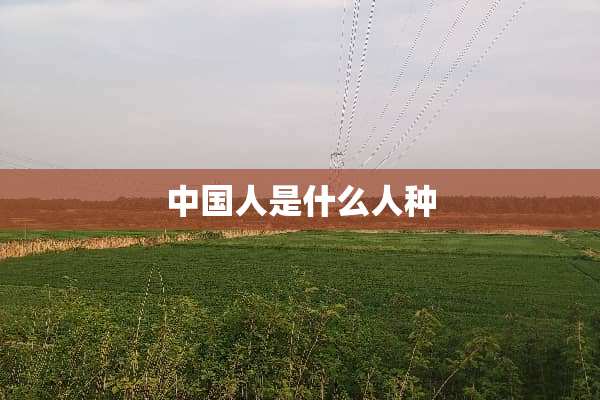 中国人是什么人种