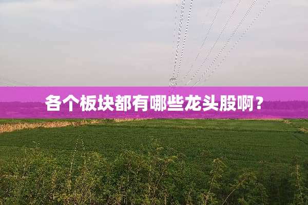各个板块都有哪些龙头股啊？