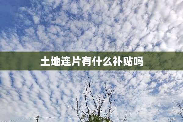 土地连片有什么补贴吗